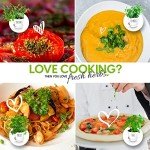 Deluxe Indoor Herb Garden Kit with 8 Varieties