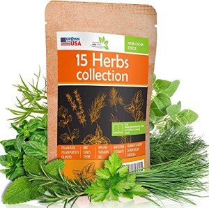 15 Herb Seed Pack for Indoor or Outdoor Gardens