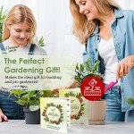 20 Vegetable Seed Varieties for Indoor Gardening