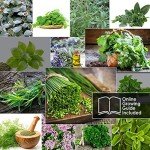15 Herb Seed Pack for Indoor or Outdoor Gardens