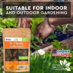 15 Herb Seed Pack for Indoor or Outdoor Gardens