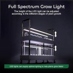 GROWNEER Indoor Hydroponics Garden System with LED Light