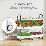 GROWNEER Indoor Hydroponics Garden System with LED Light