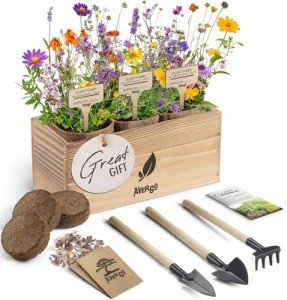 Wildflower Seed Mix Kit with Planters and Tools