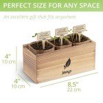 Wildflower Seed Mix Kit with Planters and Tools