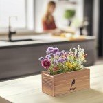 Wildflower Seed Mix Kit with Planters and Tools