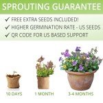 Wildflower Seed Mix Kit with Planters and Tools
