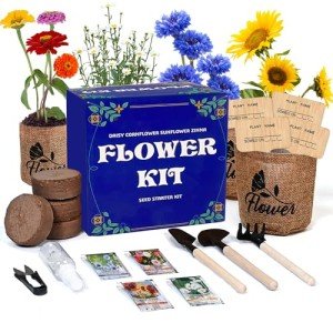 Indoor Daisy Garden Starter Kit with Tools