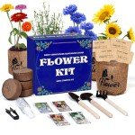 Indoor Daisy Garden Starter Kit with Tools