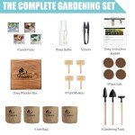 Indoor Daisy Garden Starter Kit with Tools