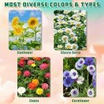 Indoor Daisy Garden Starter Kit with Tools