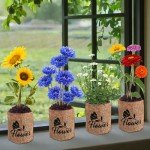 Indoor Daisy Garden Starter Kit with Tools