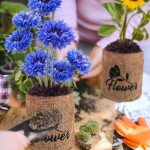 Indoor Daisy Garden Starter Kit with Tools