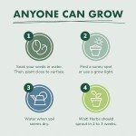 Indoor Herb Garden Kit - Grow Your Own Herbs