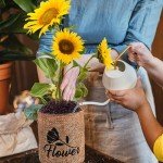 Indoor Daisy Garden Starter Kit with Tools