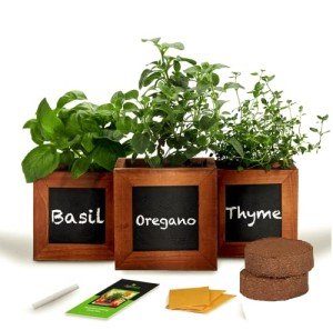Herb Garden Kit with Non-GMO Seeds and Soil