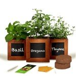 Herb Garden Kit with Non-GMO Seeds and Soil