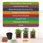 Herb Garden Kit with Non-GMO Seeds and Soil
