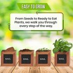 Herb Garden Kit with Non-GMO Seeds and Soil