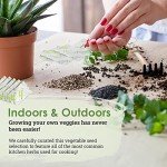 20 Vegetable Seed Varieties for Indoor Gardening