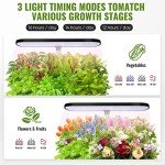 Indoor Hydroponic Garden with LED Grow Light