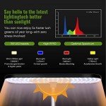 Indoor Hydroponic Garden with LED Grow Light