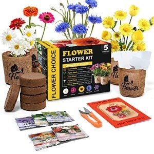 Daisy Garden Starter Kit with Tools and Accessories