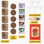 Daisy Garden Starter Kit with Tools and Accessories