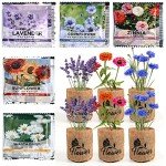 Daisy Garden Starter Kit with Tools and Accessories