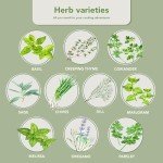 10 Herb Indoor Garden Kit with Pots & Soil