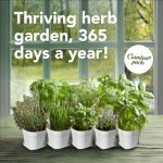 10 Herb Indoor Garden Kit with Pots & Soil
