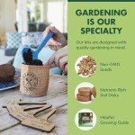 Indoor Herb Garden Kit - Grow Your Own Herbs