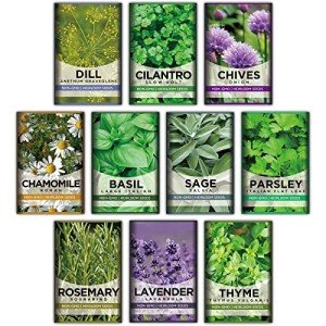 10 Herb Indoor Garden Starter Kit