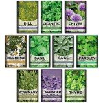 10 Herb Indoor Garden Starter Kit