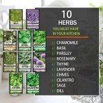 10 Herb Indoor Garden Starter Kit