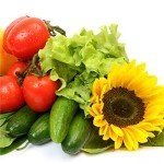 AeroGarden 9-Pod Grow Anything Seed Kit