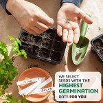 10 Herb Indoor Garden Starter Kit