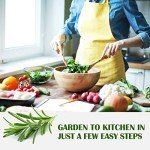 10 Herb Indoor Garden Starter Kit