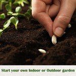 10 Herb Indoor Garden Starter Kit