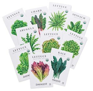 Organic Lettuce Seeds Collection - 10 Pack