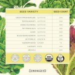 Organic Lettuce Seeds Collection - 10 Pack