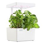 Indoor Hydroponic Grow Kit with Light & Seeds
