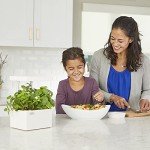 Indoor Hydroponic Grow Kit with Light & Seeds