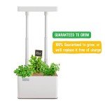 Indoor Hydroponic Grow Kit with Light & Seeds