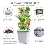 Smart Indoor Hydroponic Garden Kit with Pump