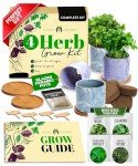 Easy Indoor Herb Garden Kit with Ceramic Pot