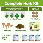 Easy Indoor Herb Garden Kit with Ceramic Pot