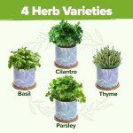 Easy Indoor Herb Garden Kit with Ceramic Pot