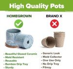 Easy Indoor Herb Garden Kit with Ceramic Pot