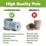 Easy Indoor Herb Garden Kit with Ceramic Pot